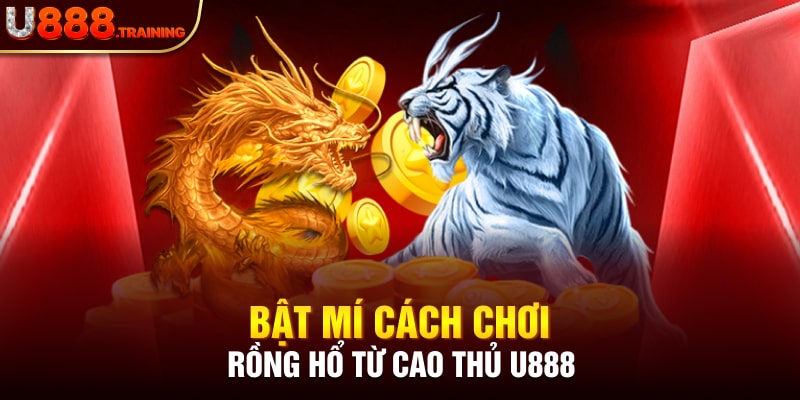 Chia sẻ kinh nghiệm chơi rồng hổ online tại nhà cái U888 từ cao thủ