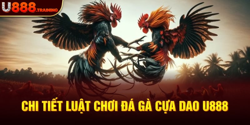 Nắm rõ luật đá gà cựa dao trăm trận trăm thắng